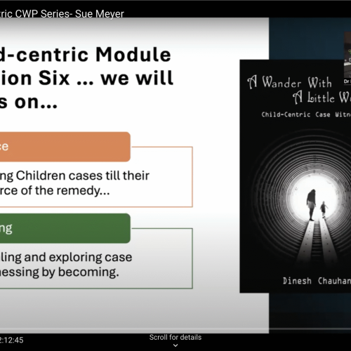 Usa child centric webinar series 2024